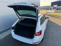 Skoda Superb Superb Combi 2,0 TDI Ambition DSG *AHK*RFK*ACC* Weiß - thumbnail 26