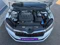 Skoda Superb Superb Combi 2,0 TDI Ambition DSG *AHK*RFK*ACC* Weiß - thumbnail 6