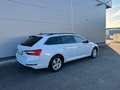 Skoda Superb Superb Combi 2,0 TDI Ambition DSG *AHK*RFK*ACC* Weiß - thumbnail 17
