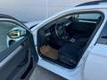 Skoda Superb Superb Combi 2,0 TDI Ambition DSG *AHK*RFK*ACC* Weiß - thumbnail 9