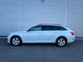 Skoda Superb Superb Combi 2,0 TDI Ambition DSG *AHK*RFK*ACC* Weiß - thumbnail 3