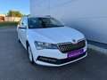 Skoda Superb Superb Combi 2,0 TDI Ambition DSG *AHK*RFK*ACC* Weiß - thumbnail 13