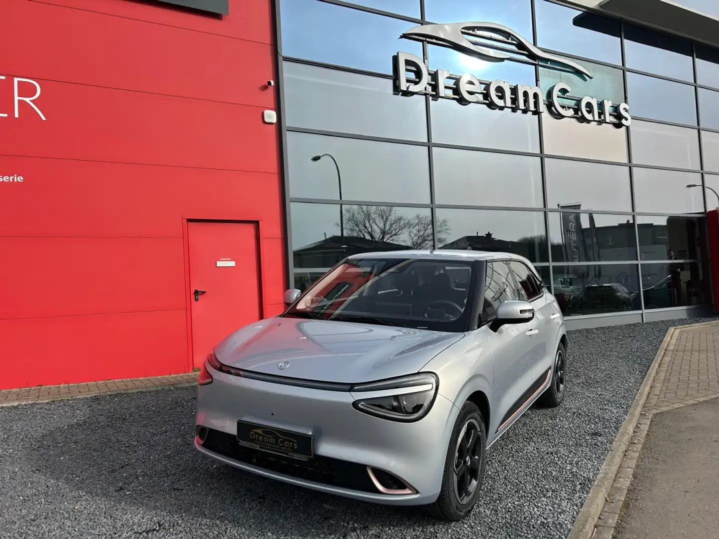 Dongfeng Box PREMIUM Grau - 1