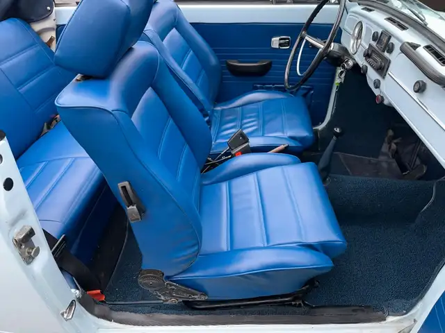 Volkswagen Beetle view 11