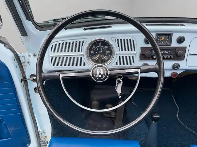 Volkswagen Beetle view 14