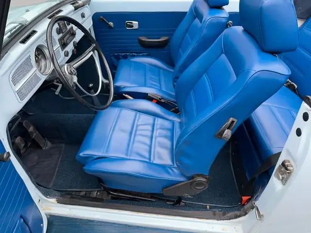 Volkswagen Beetle view 9