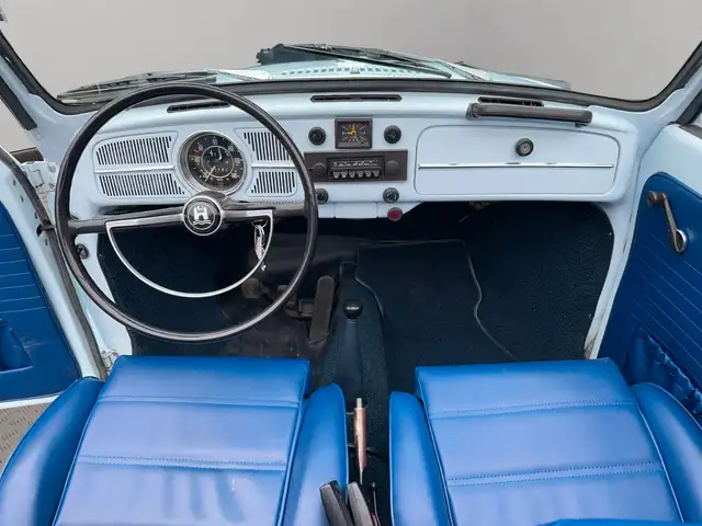 Volkswagen Beetle view 10