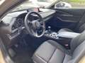 Mazda CX-30 HOMURA 140 cv 2.5 cc mild hybrid Verde - thumbnail 7