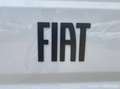 Fiat Ducato 33 MH2 2.2 mjt3 140c Wit - thumbnail 23