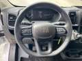 Fiat Ducato 33 MH2 2.2 mjt3 140c Wit - thumbnail 17