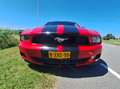 Ford Mustang Mustang 4.0 V6 Rood - thumbnail 16