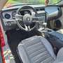 Ford Mustang Mustang 4.0 V6 Rood - thumbnail 21