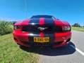 Ford Mustang Mustang 4.0 V6 Rood - thumbnail 15