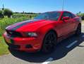 Ford Mustang Mustang 4.0 V6 Rood - thumbnail 1