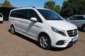 Mercedes-Benz V 250 V250d 4Matic AMG Line Panorama Kamera LED Tische Weiß - thumbnail 3