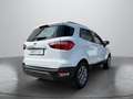 Ford EcoSport 1,0 Titanium Weiß - thumbnail 5