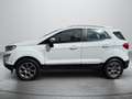Ford EcoSport 1,0 Titanium Weiß - thumbnail 4