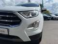 Ford EcoSport 1,0 Titanium Weiß - thumbnail 2
