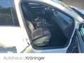 SEAT Ibiza 1.0 TSI FR SHZ Klima SHZ LED Weiß - thumbnail 9