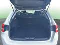 Peugeot 308 SW 1.5BlueHDi Style 100 Blanco - thumbnail 14