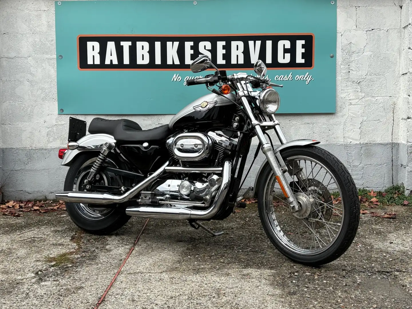 Harley-Davidson Sportster 1200 Custom CENTENARIO Plateado - 2