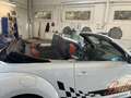 Volkswagen Maggiolino Cabrio 1.4 TSI DSG Club Edition #fulloptional Bianco - thumbnail 5