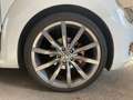Volkswagen Maggiolino Cabrio 1.4 TSI DSG Club Edition #fulloptional Bianco - thumbnail 6