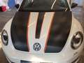 Volkswagen Maggiolino Cabrio 1.4 TSI DSG Club Edition #fulloptional Bianco - thumbnail 4