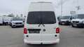 Volkswagen T6 Hochdach lang 4Motion *Netto €23.325,-* Weiß - thumbnail 7