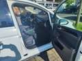 Volkswagen Touran Highline TDI LED ACC DSG Pano AHK R-Line Weiß - thumbnail 12
