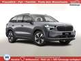 Skoda Kodiaq Selection eTSI DSG Selec AHK Matrix Nav ACC Kes... Grau - thumbnail 1