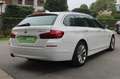 BMW 520 520d Touring Automatic Modern *BMW OIL INCLUSIVE* Wit - thumbnail 3