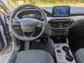 Ford Kuga 1.5 EcoBlue 120 Cv Connect Automatica E6d Grigio - thumbnail 11