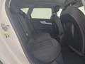 Audi A4 allroad A4 allroad 40 TDI 204 CV S tronic Business Evolut Blanc - thumbnail 28