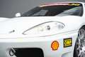 Ferrari 360 Challenge Weiß - thumbnail 24