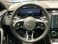 Jaguar F-Pace P550 SVR AWD | HUD PANO ACC Blau - thumbnail 13