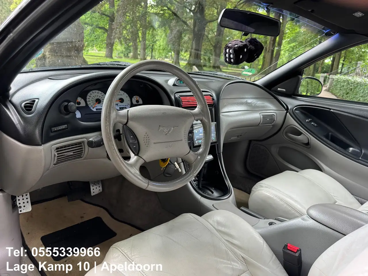 Ford Mustang GT 4.6L V8 Automaat Perfecte Staat Leder Airco Cam, foto 10