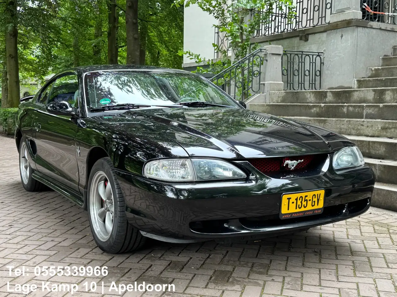 Ford Mustang GT 4.6L V8 Automaat Perfecte Staat Leder Airco Cam, foto 4