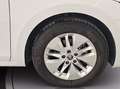 Skoda Octavia wagon 2.0 tdi evo executive 115cv dsg Bianco - thumbnail 13