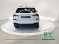 Skoda Kamiq Kamiq 1.0 TSI Black Dots Bianco - thumbnail 5
