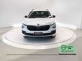 Skoda Kamiq Kamiq 1.0 TSI Black Dots Bianco - thumbnail 2