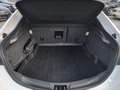 Ford Mondeo 2.0 ST-Line~Pano Blanco - thumbnail 10