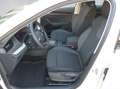 Skoda Octavia Selection TSI mHEV DSG Wit - thumbnail 6