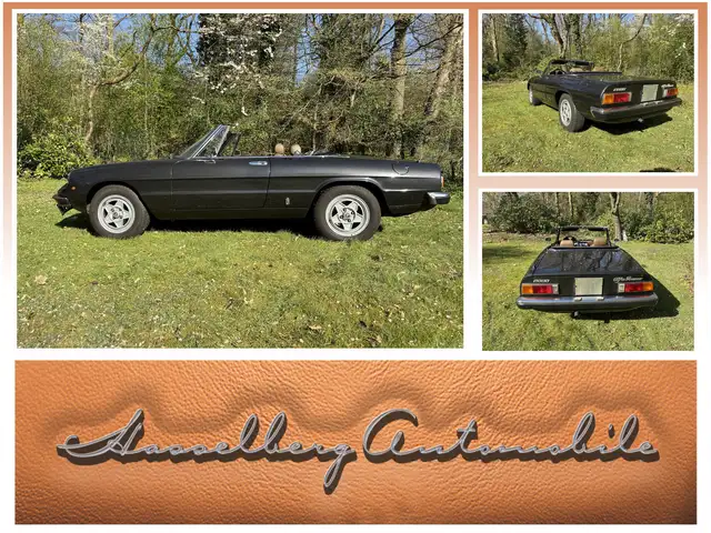 Alfa Romeo Spider 2000 1. Hand, so nicht wieder zu bekommen
