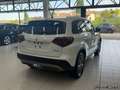 Suzuki Vitara Vitara 1.4 Hybrid 4WD AllGrip Cool Bianco - thumbnail 6