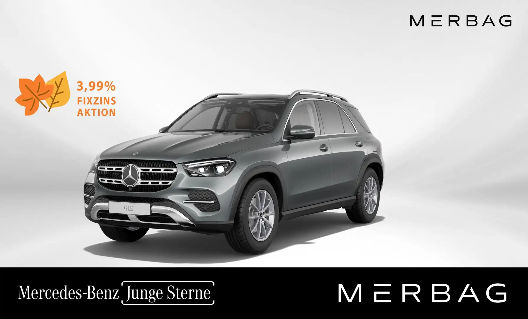 Mercedes-Benz GLE 350 de 4MATIC Grau - 1
