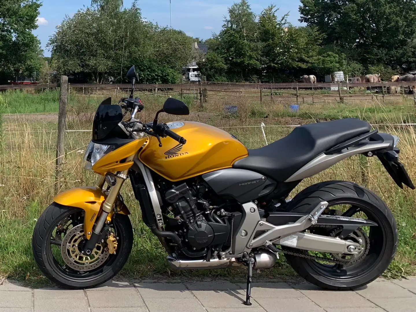 Honda CB 600 Honda Hornet CB600FA 2007 Auriu - 2