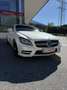 Mercedes-Benz CLS 350 CDI Shooting Brake 4MATIC Aut. Vollausstattung - thumbnail 2