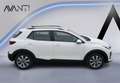 Kia Stonic 1.0 T-GDi MHEV 100CV Drive - thumbnail 16