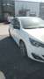 Peugeot 308 5p 1.6 e-hdi 8v Business s&s 115cv - thumbnail 1